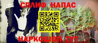 сатива Краснокаменск