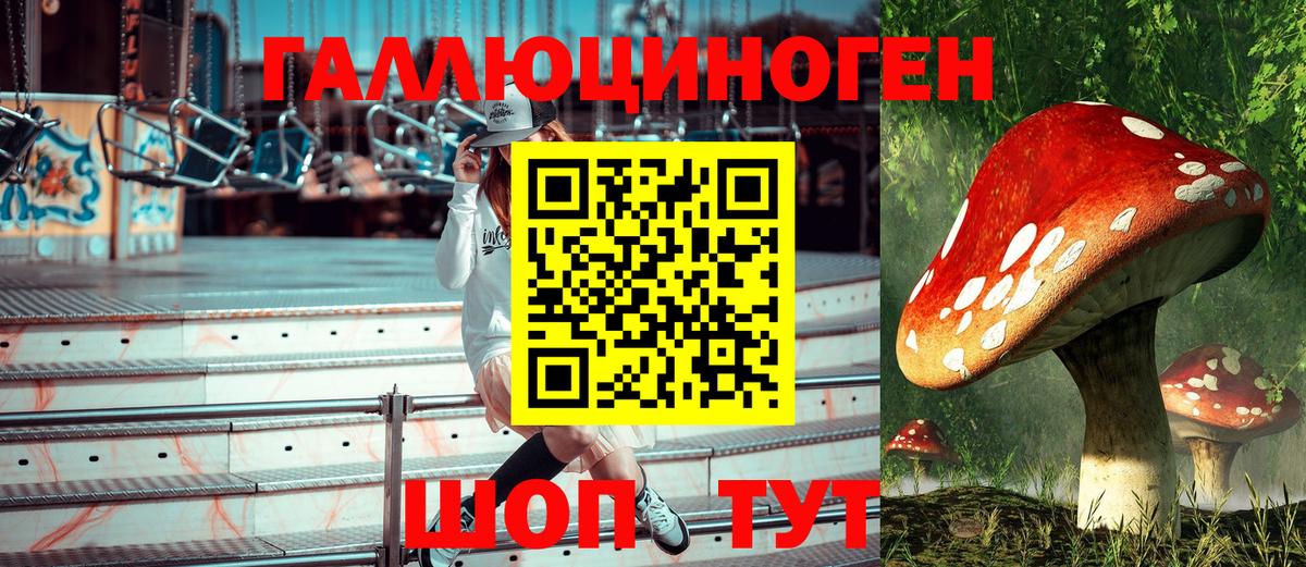 Галлюциногенные грибы прущие грибы  Вход с VPN  Казань  дарнет шоп  Псилоцибиновые грибы прущие грибы 
